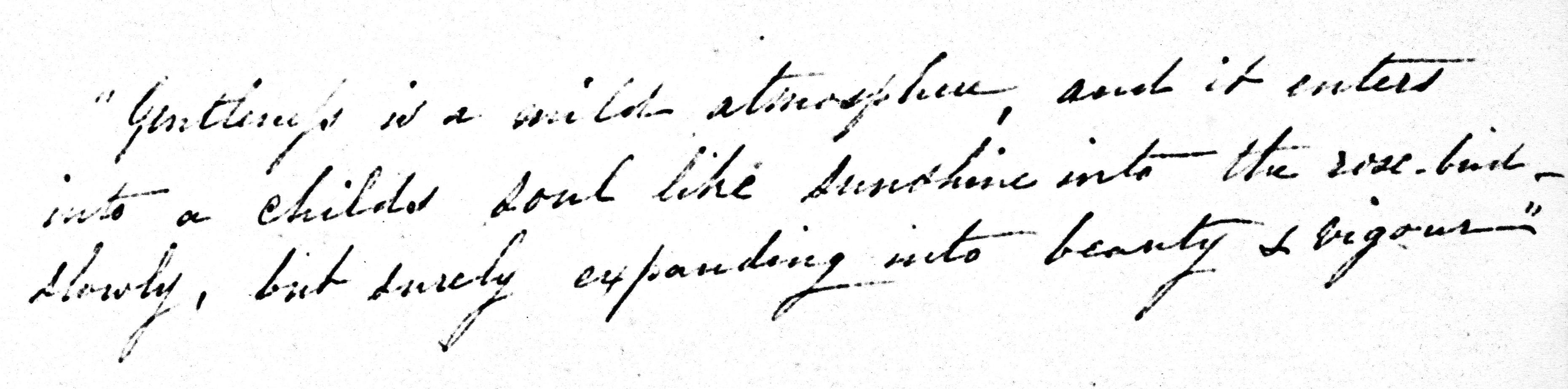 The epigram written on the flyleaf of Anna Whistler's diary.